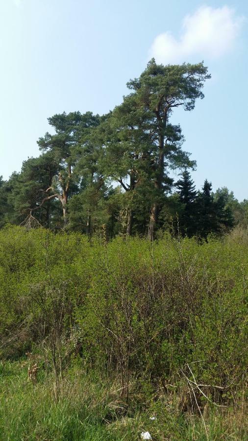 Luett Verbliev Malchow  Bagian luar foto