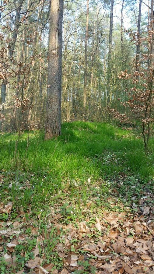 Luett Verbliev Malchow  Bagian luar foto